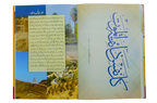 Seerat Encyclopedia (10th Vol.)